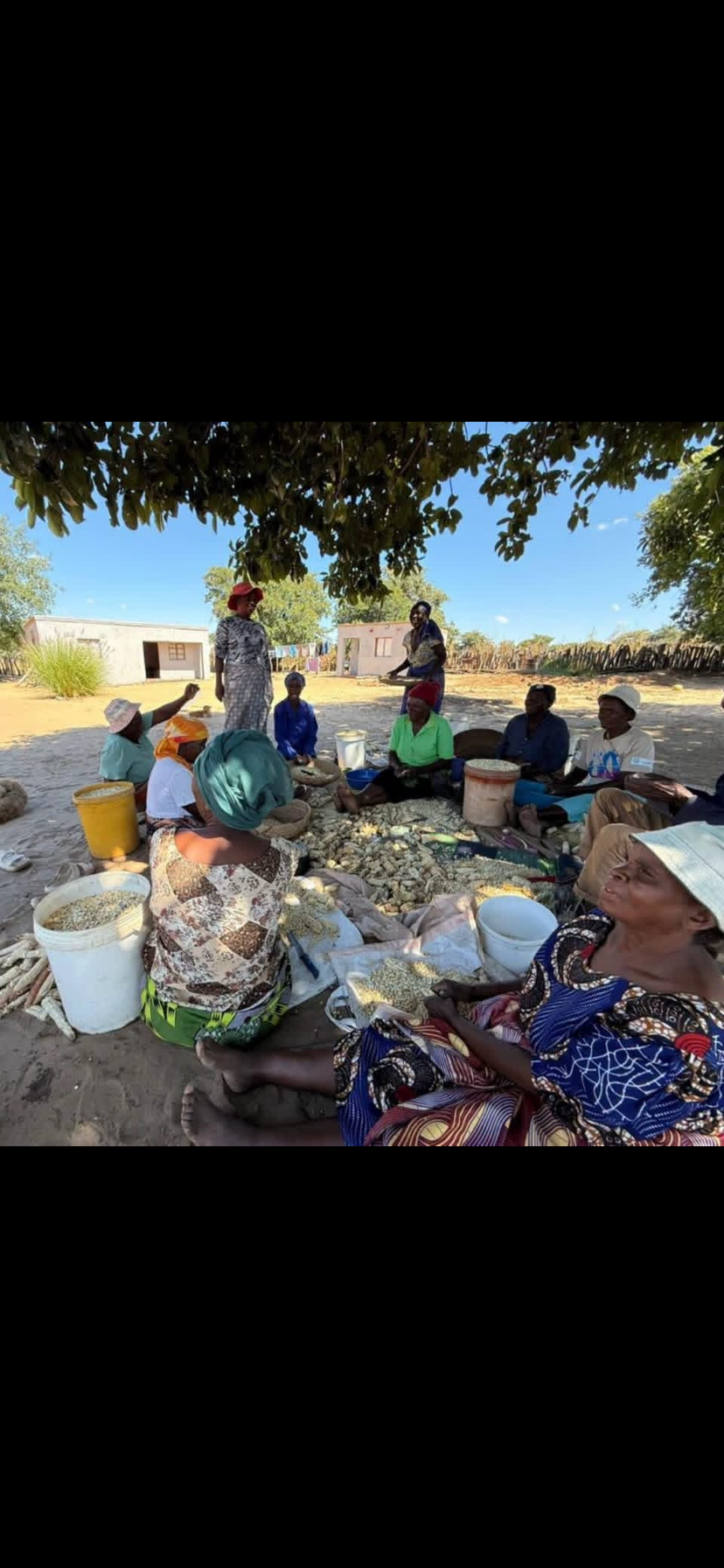 Image number 1 for Victoria Falls Village Tour 