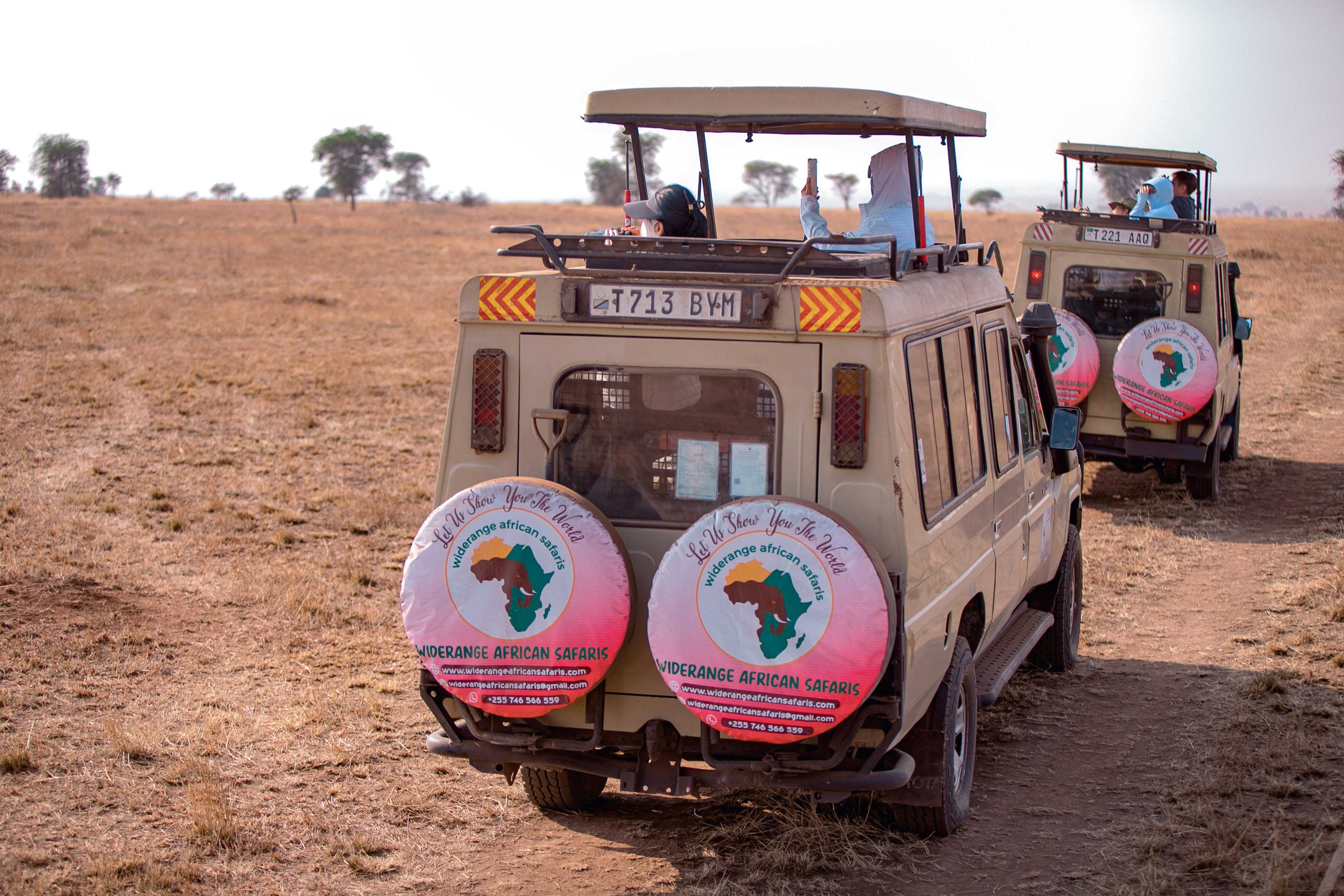 background image for - 3 Days Tanzania Private Safari Tour Package 2026