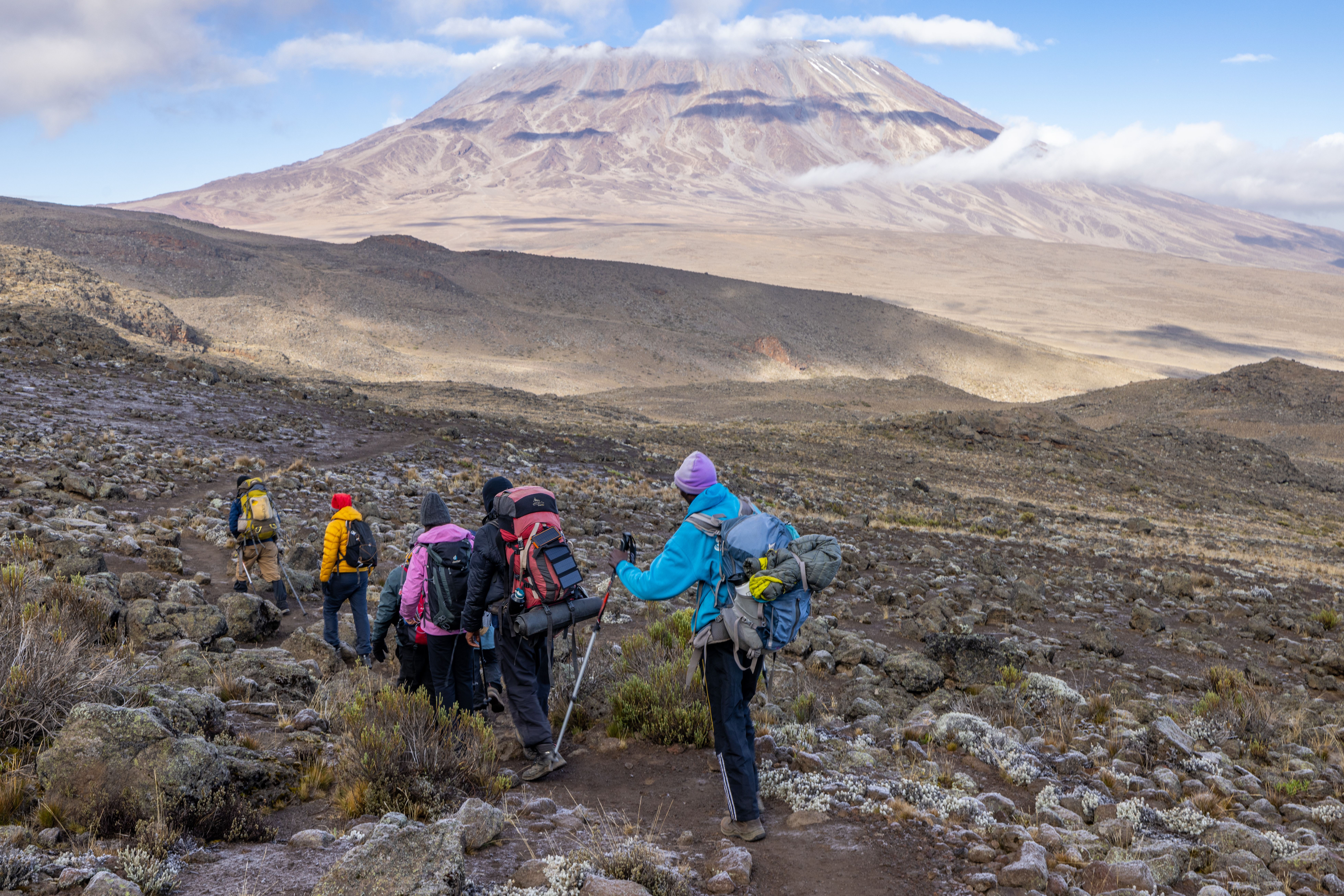 Image number 9 for Kilimanjaro Machame Route: Conquer The Roof Of Africa