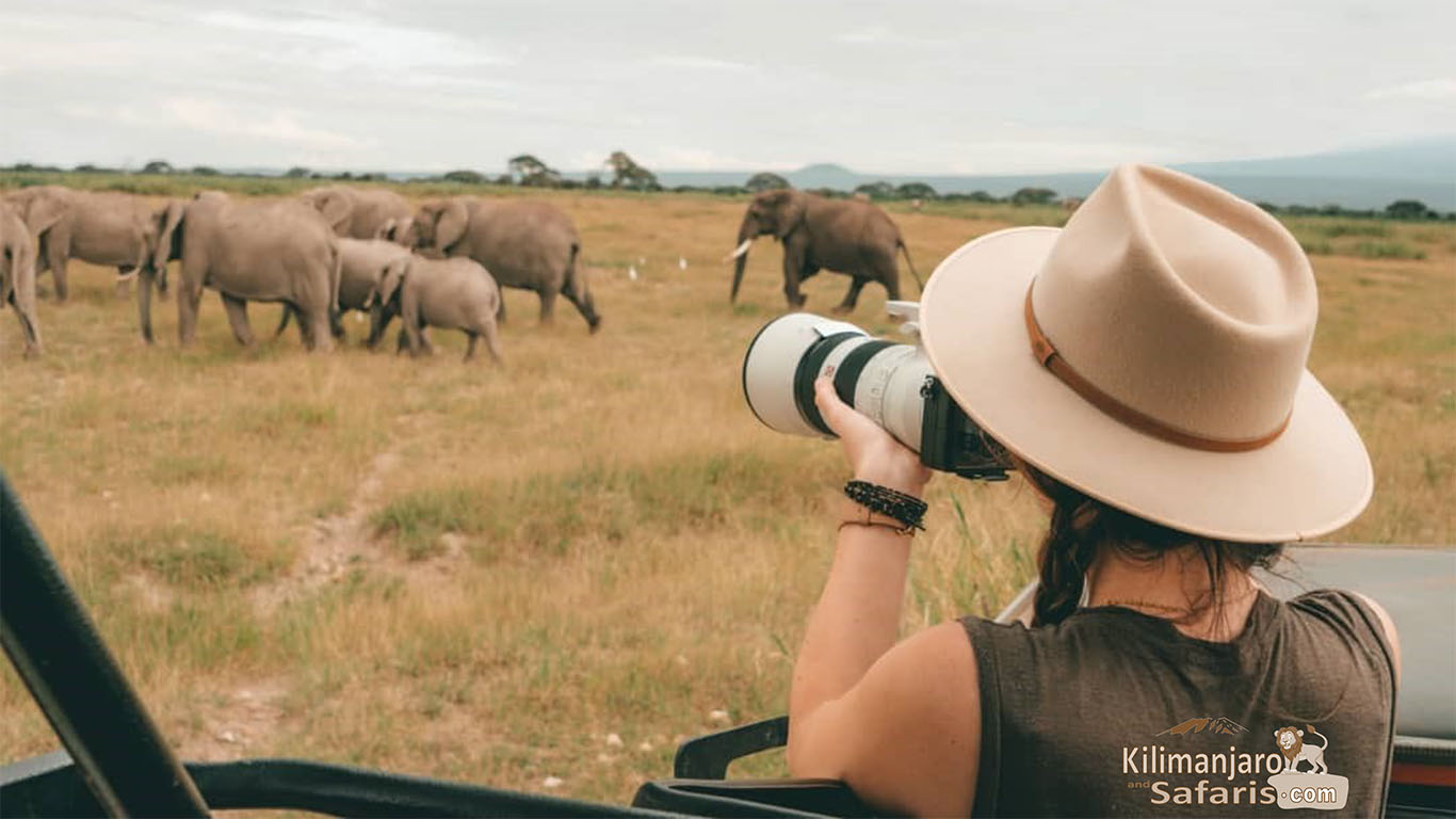 background image for - 4 Day Tanzania Camping Safari To Tarangire, Serengeti And Ngorongoro