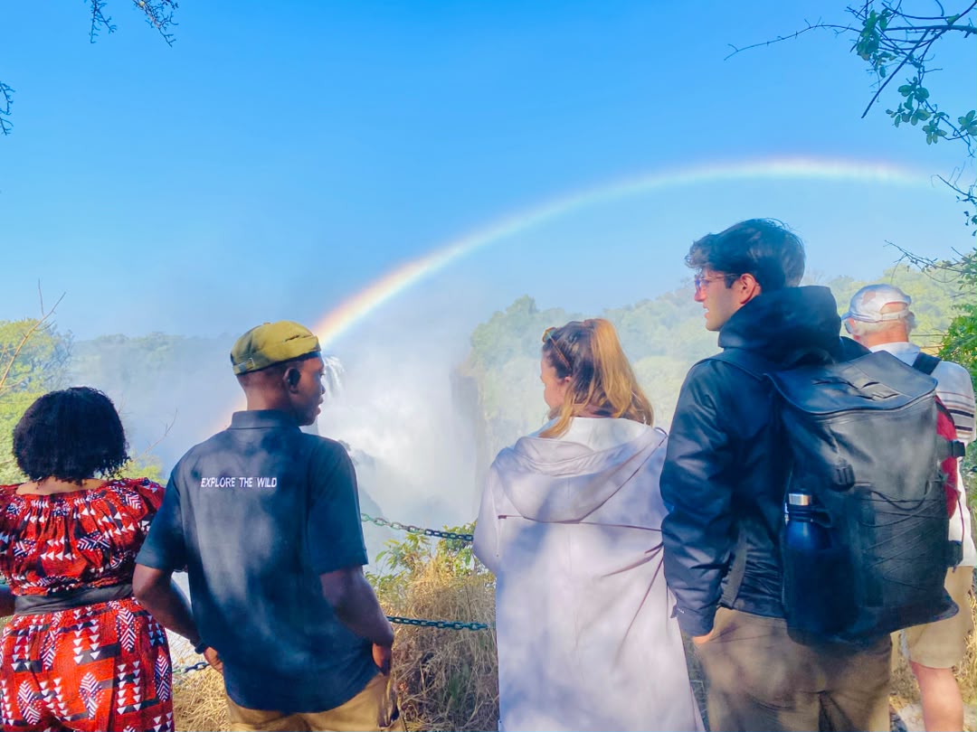 background image for - Victoria Falls Guided Tour
