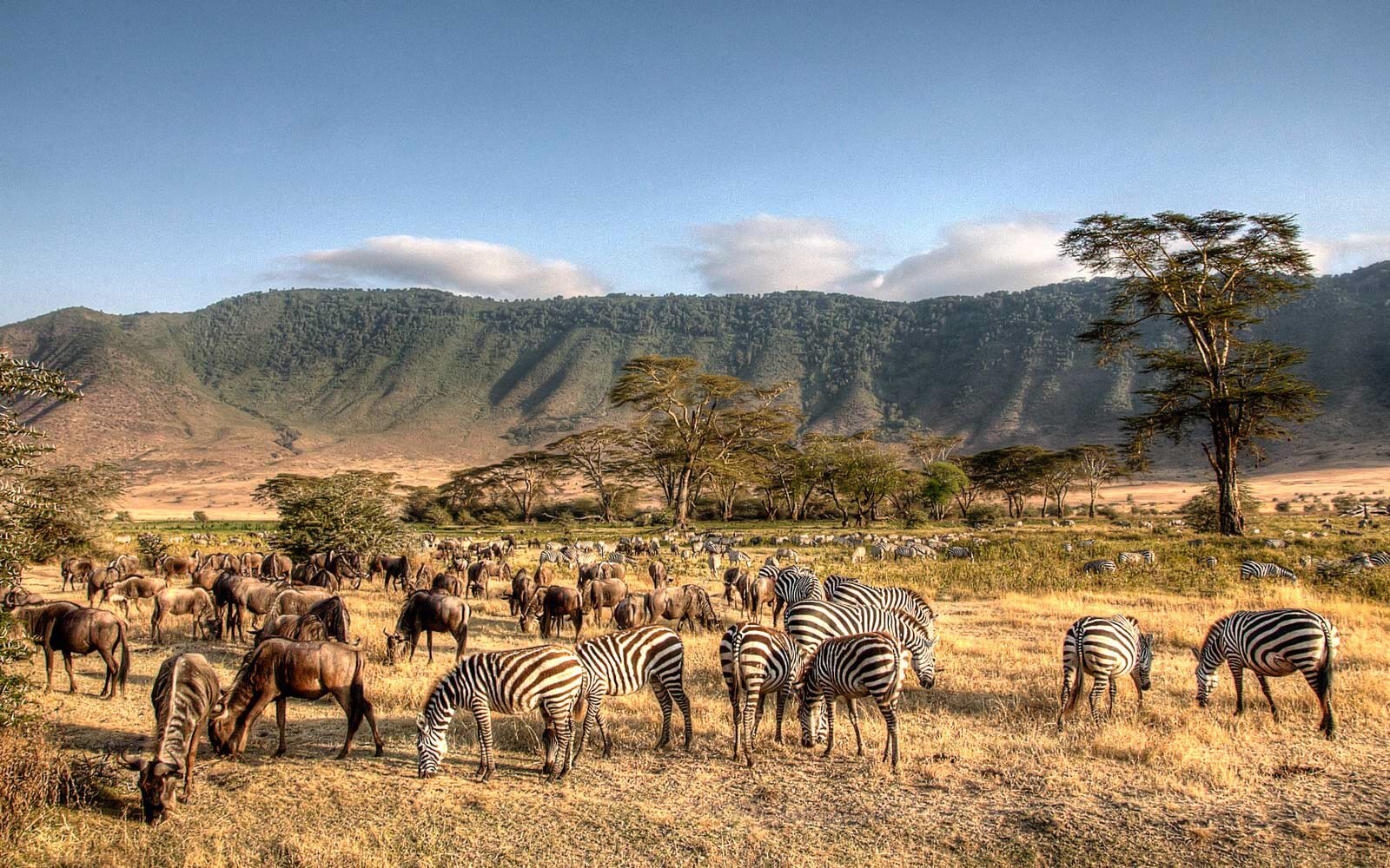 Image number 1 for 3 Days Village Tour And Ngorongoro Crater Safari