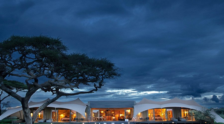 Image number 1 for The Imperial Legacy: Ultra-luxury Private Wing Safari