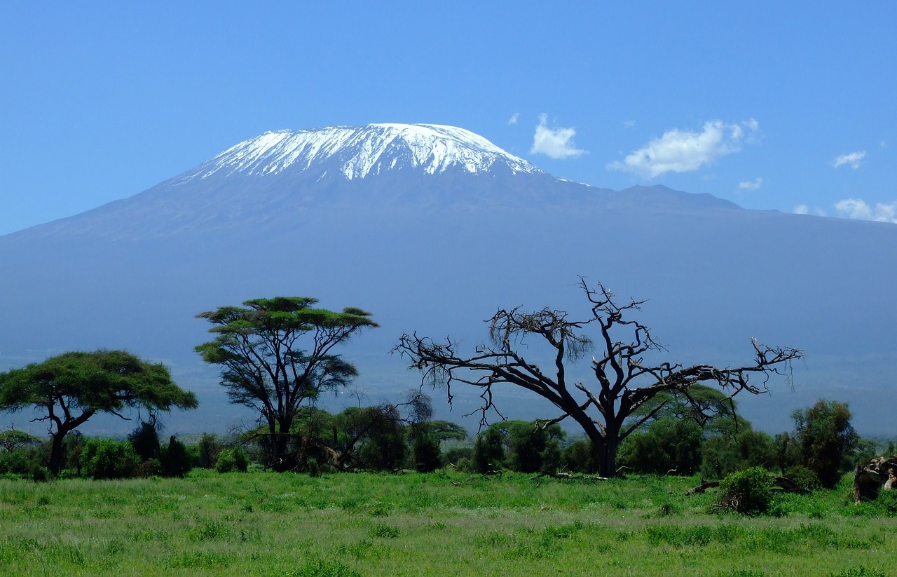 background image for - Mt. Kilimanjaro Hiking Via Marangu Route 