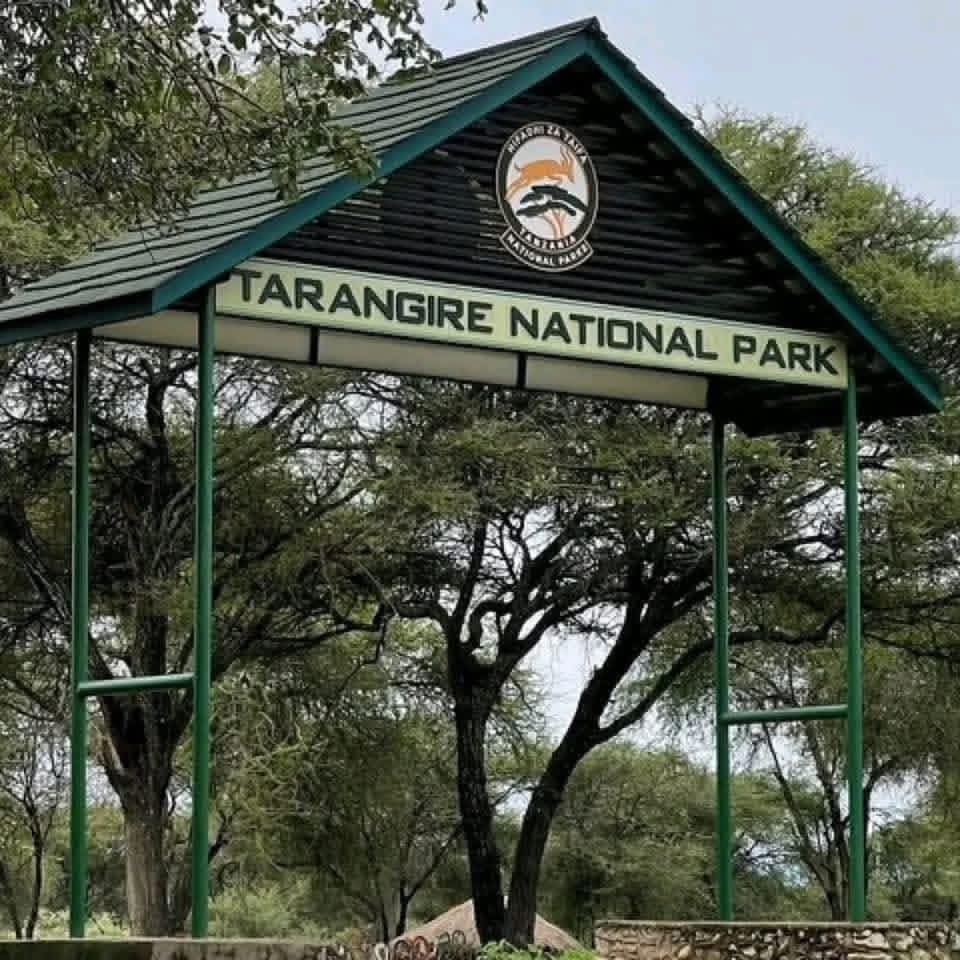 Image number 5 for Private Budget Camping Safari