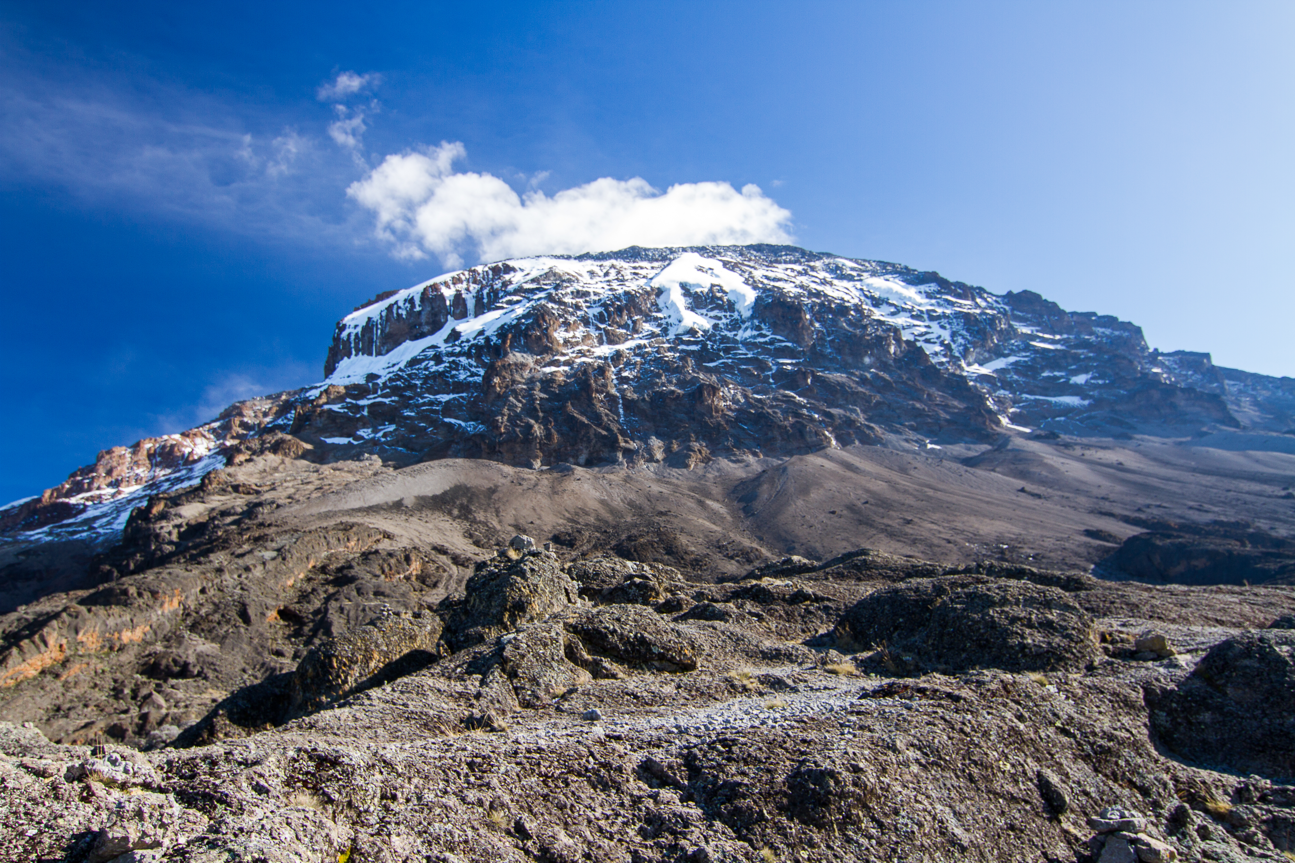 Image number 4 for Kilimanjaro Climbing Tour 8 Days Lemosho Route