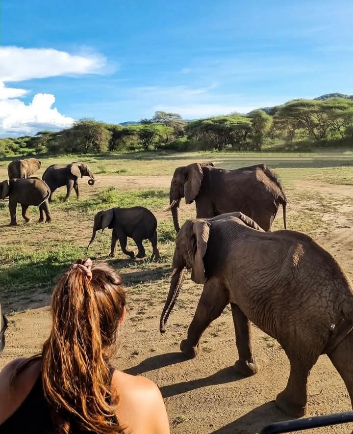 Image number 2 for Budget Private Safari In Tanzania