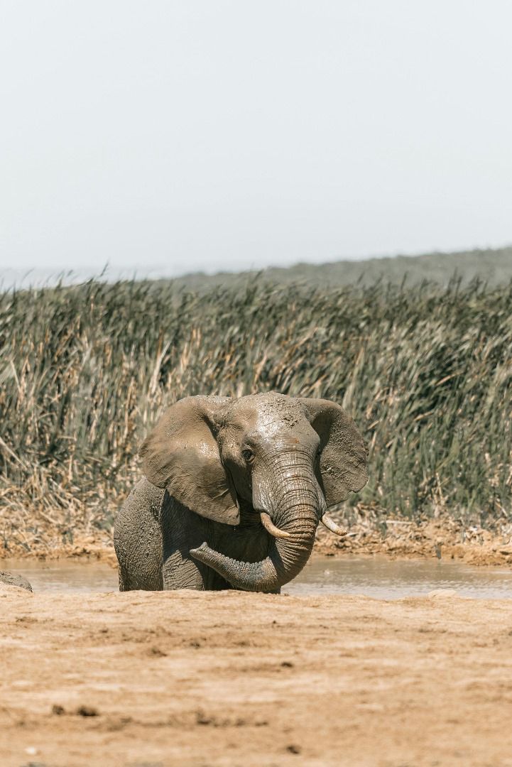 Image number 3 for 4-Day Budget Group Serengeti And Ngorongoro Safari