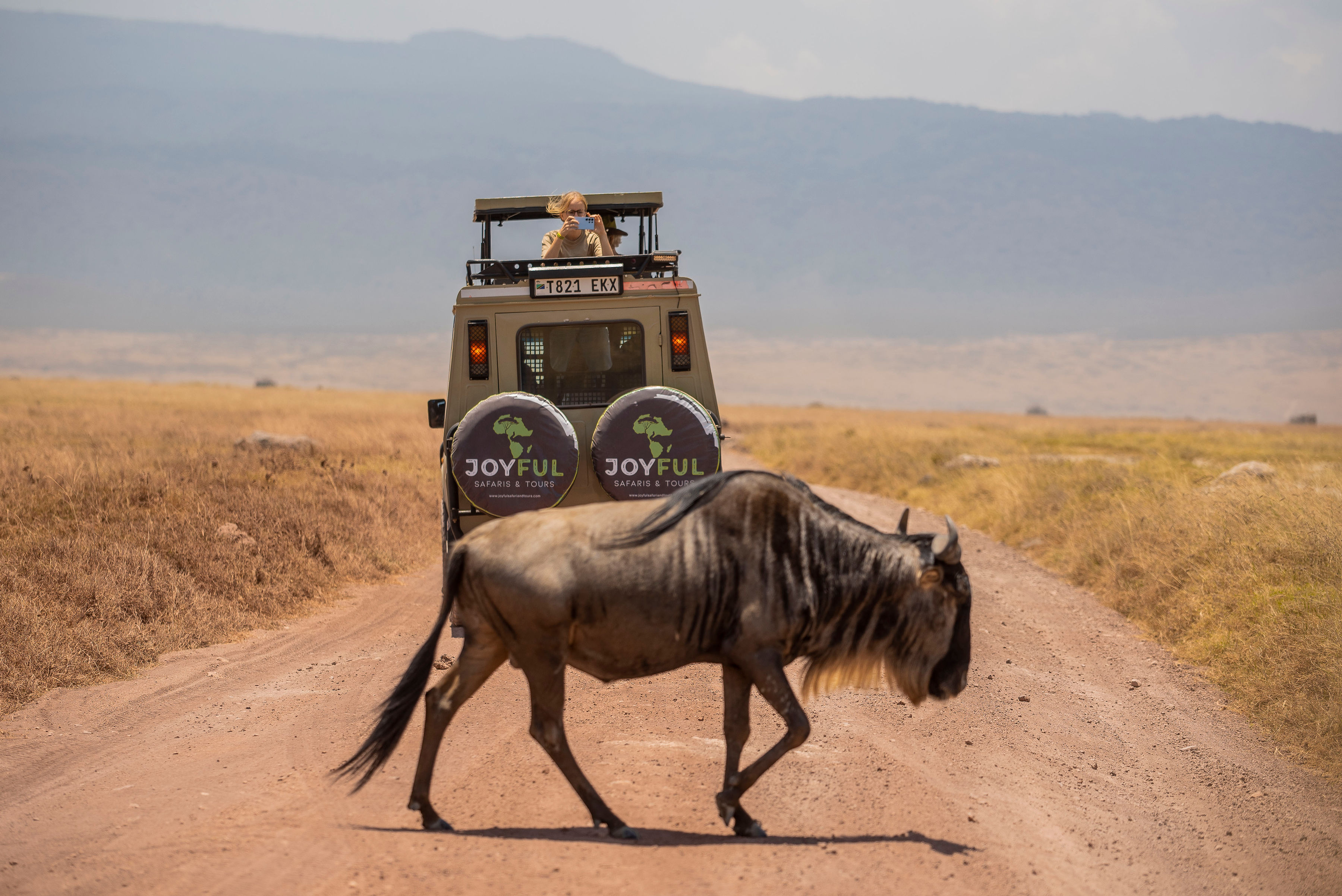 Image number 1 for Tanzania Safaris, Waterfalls And Coffee Tour