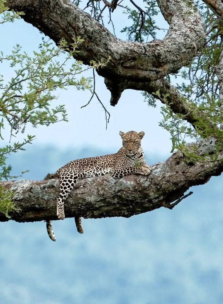 Image number 4 for Discover The Untouched Wilderness – Luxuriously