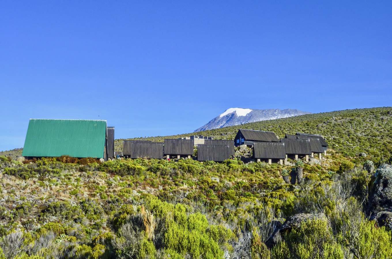 background image for - 5 Days Kilimanjaro Marangu Route