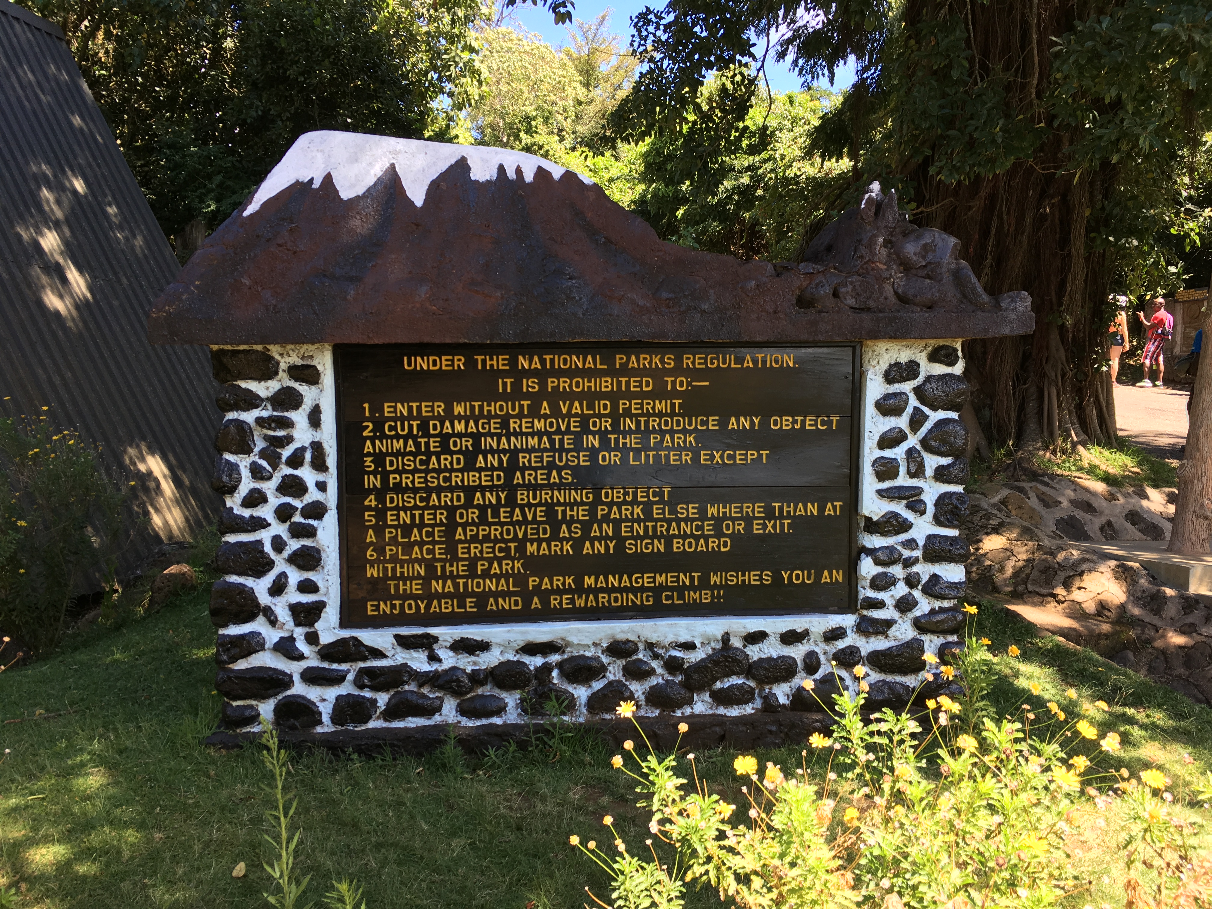 background image for - 5 Days Marangu Christmas Route