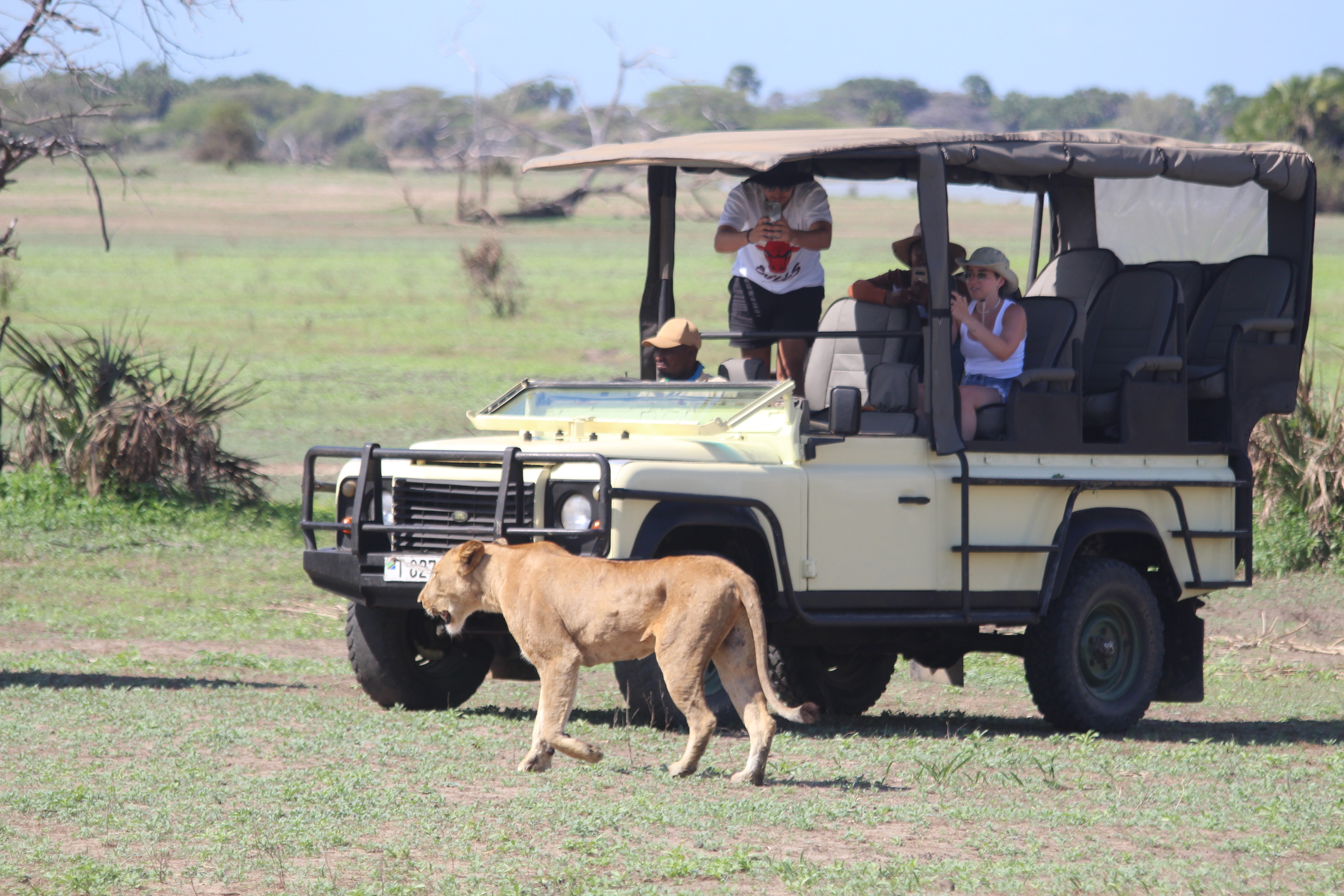 background image for - 2-Day Budget Safari Dar  To Selous (nyerere Np)