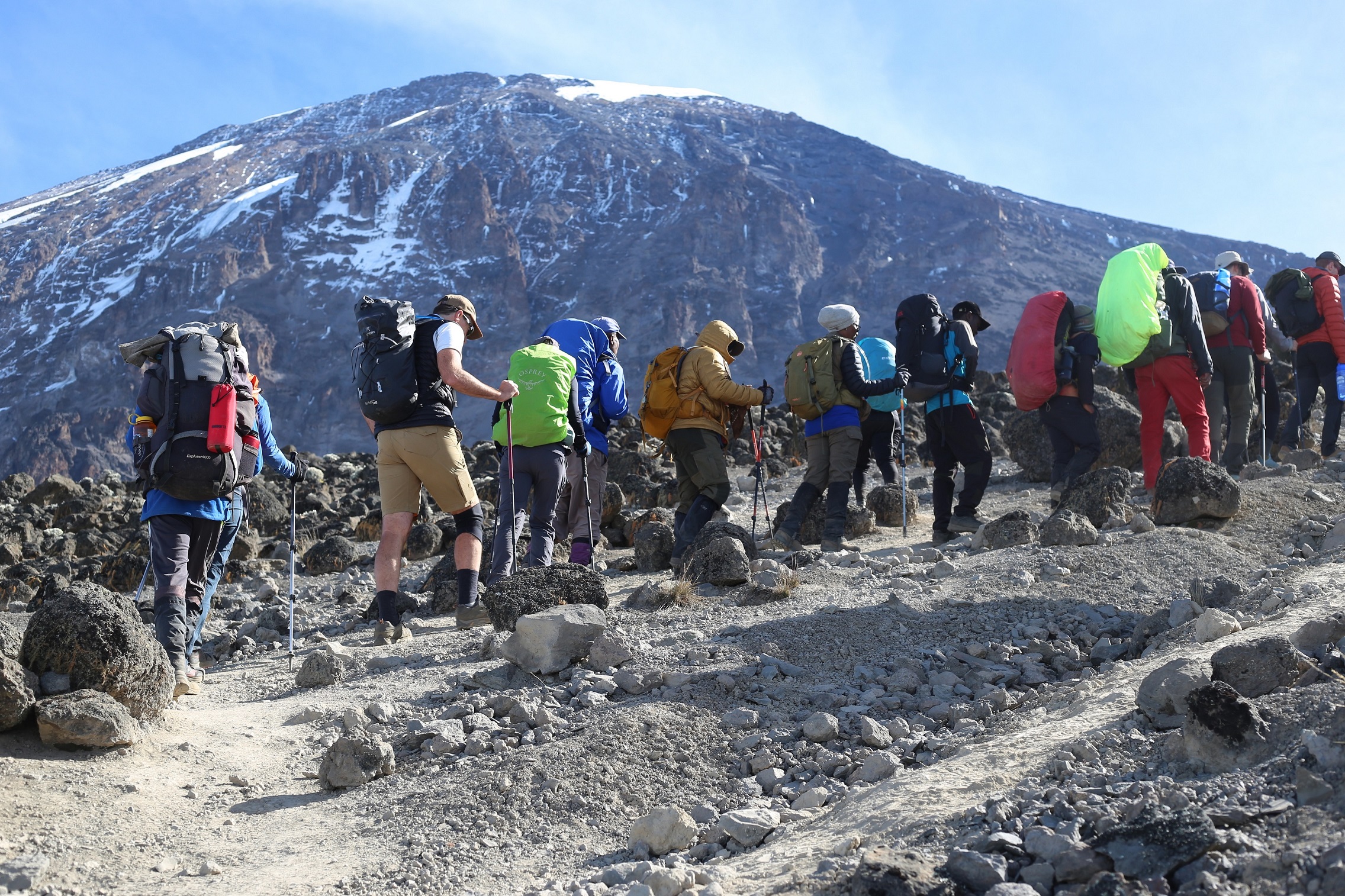 background image for - 9 Days Kilimanjaro Lemosho Route Hiking