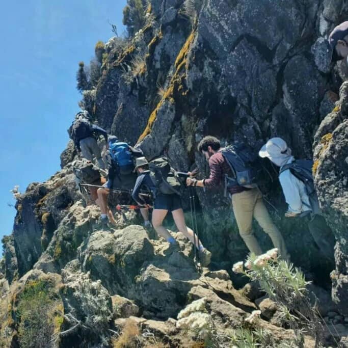 background image for - Lemosho Route Kilimanjanjaro Climbing