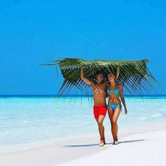 Image number 3 for Romantic Tanzania Safari