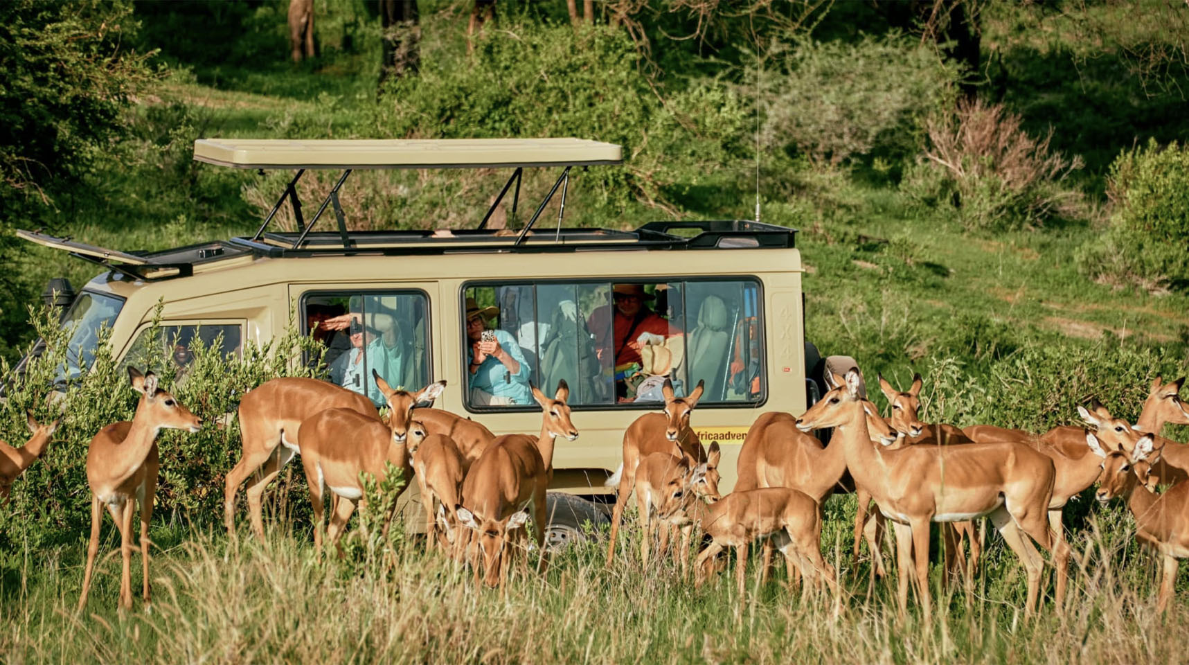 Image number 18 for 7 Days Camping Northern Zone Safari