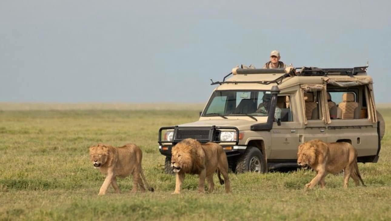 Image number 7 for Discover Kenya In 7 Days: Private Safari