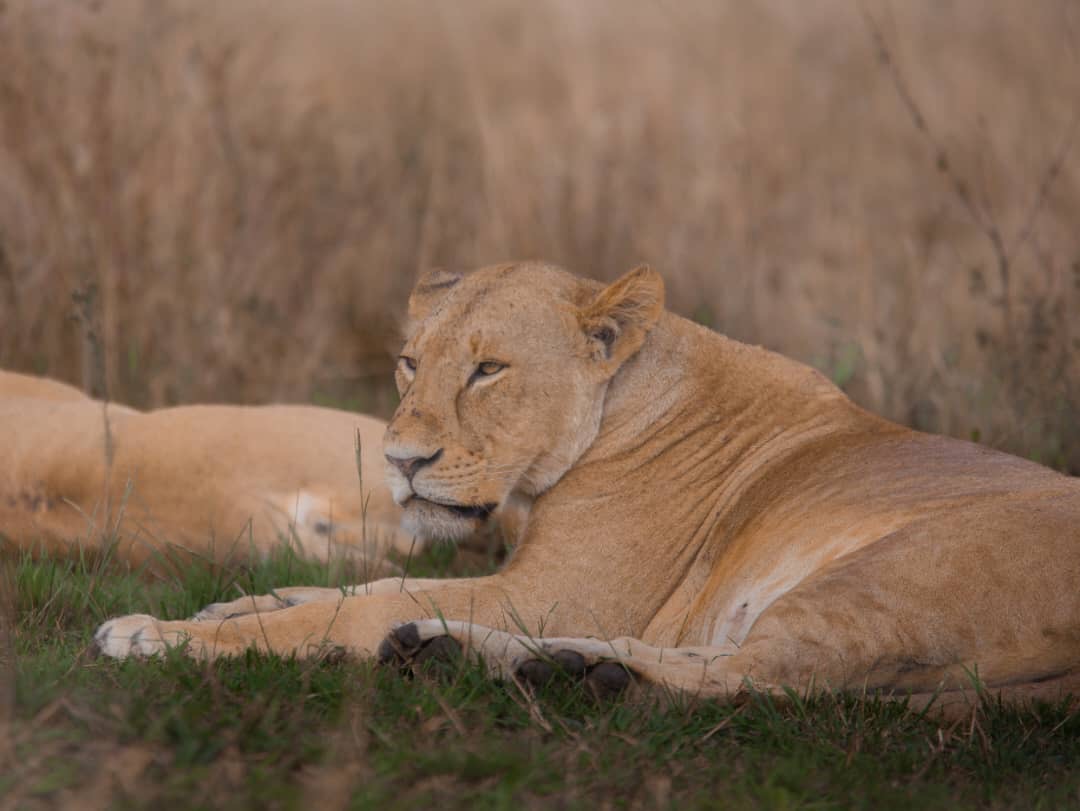 Image number 1 for 3-Day Serengeti & Ngorongoro Safari