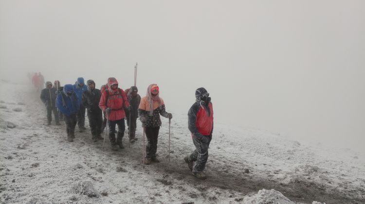 background image for - 8 Days Lemosho Route New Year HIKES 