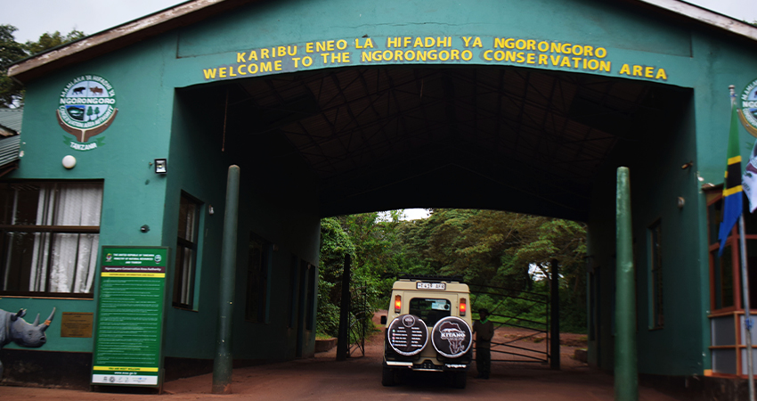 background image for - 5 Days Tanzania Sharing Safari  Manyara 