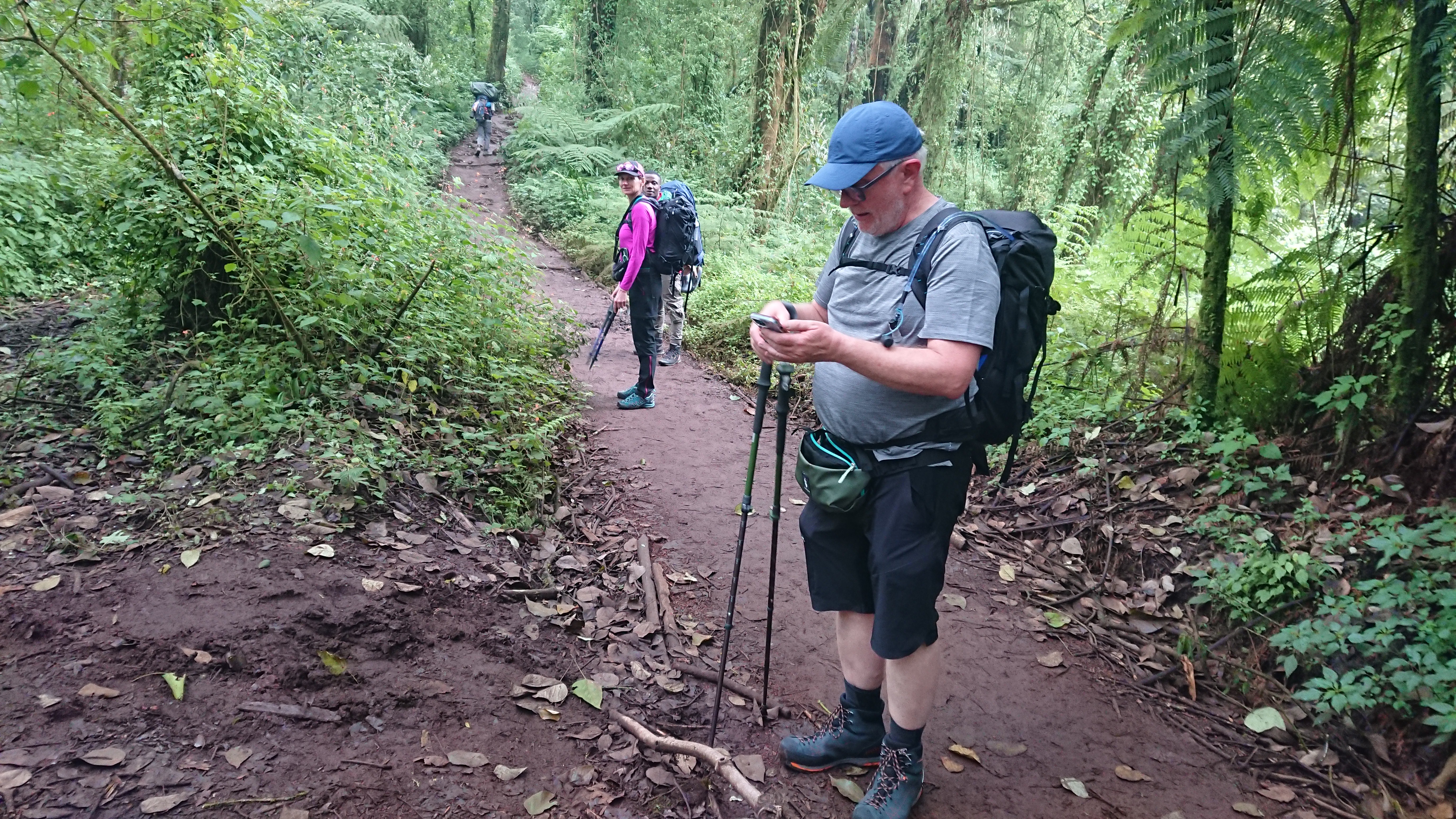 Image number 3 for Mount Kilimanjaro Climb – Marangu Route (coca-cola Route)