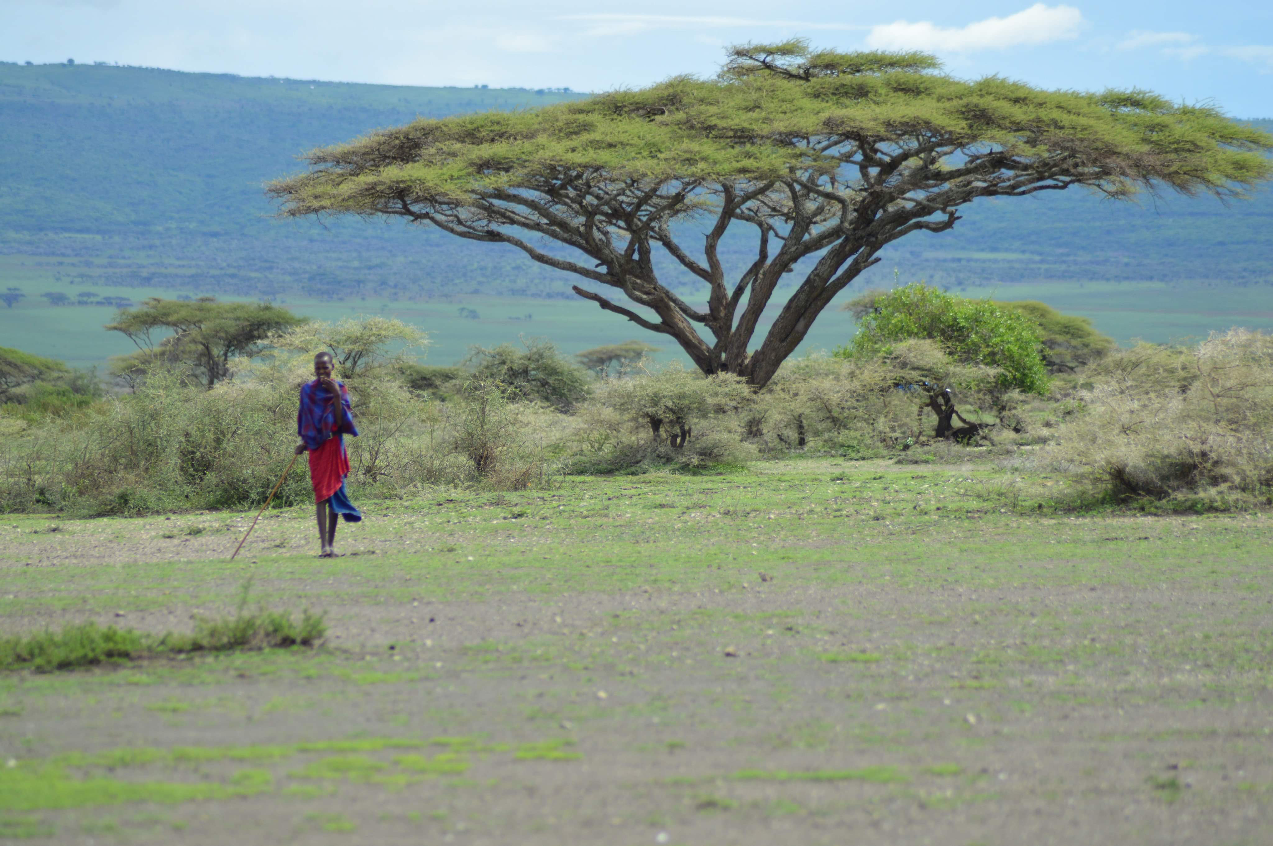 Image number 8 for 5-Day Safari Experience