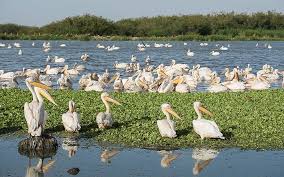 Image number 14 for 12 days Ethiopia Honeymoon Safari