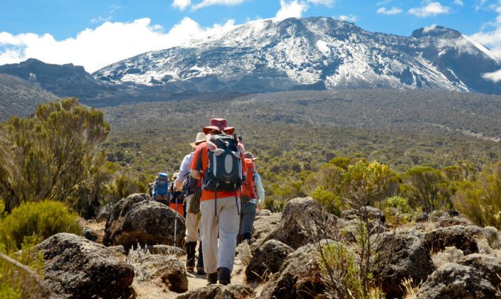 background image for - Best 6-Day Umbwe Route Kilimanjaro Climb