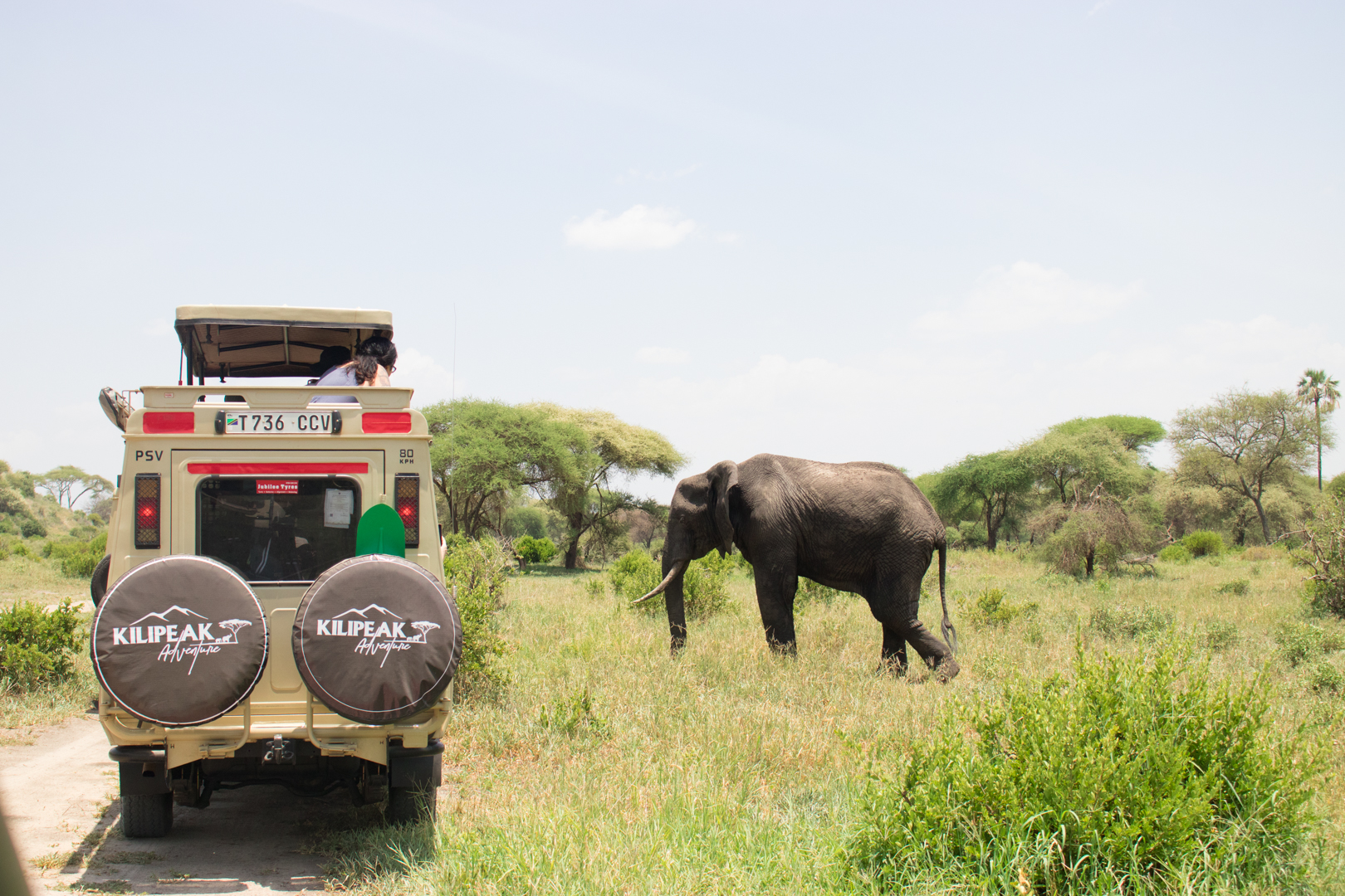 background image for - Tanzania Budget Mobile Camping Safari