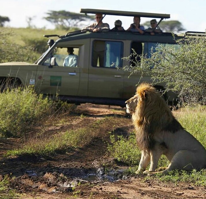 background image for - Arusha N.p & Ngorongoro Crater Safari 