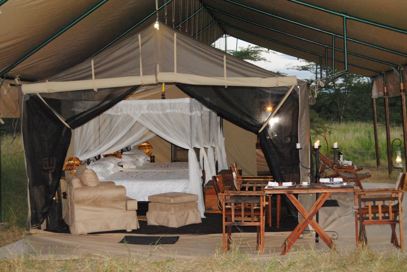 background image for - Highlights Of 6days Luxury Safaris