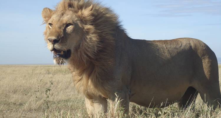Image number 11 for Tanzania Midrange Safari