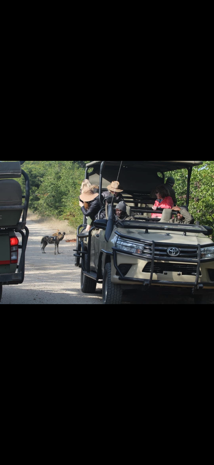 Image number 5 for Vic Falls To Chobe Day Trips 