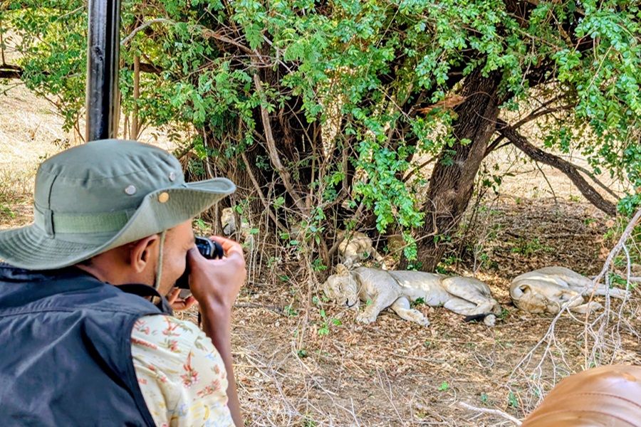 Image number 1 for 3-Day Mikumi & Uluguru Mt. Safari From Dar Es Salaam