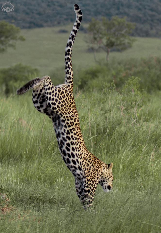 background image for - 5 Days Tanzania Camping Safari