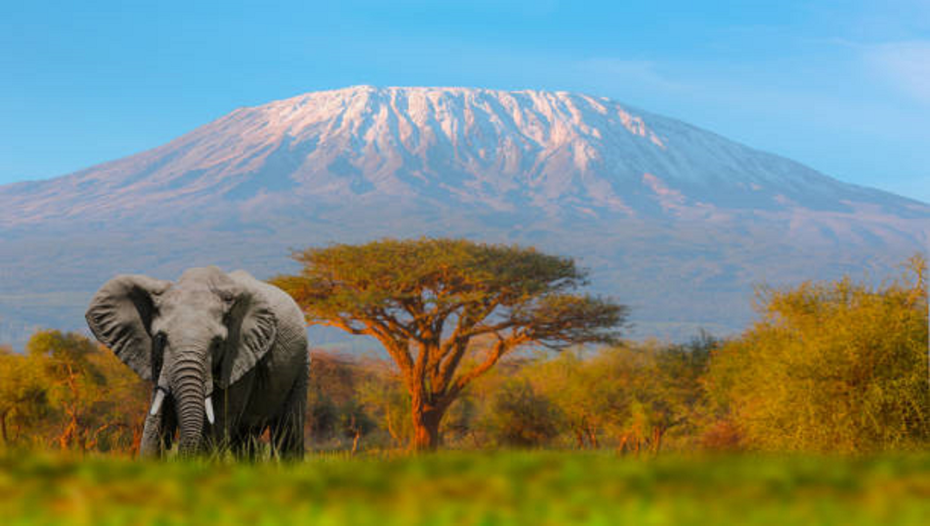 background image for - Mountain Kilimanjaro Hiking