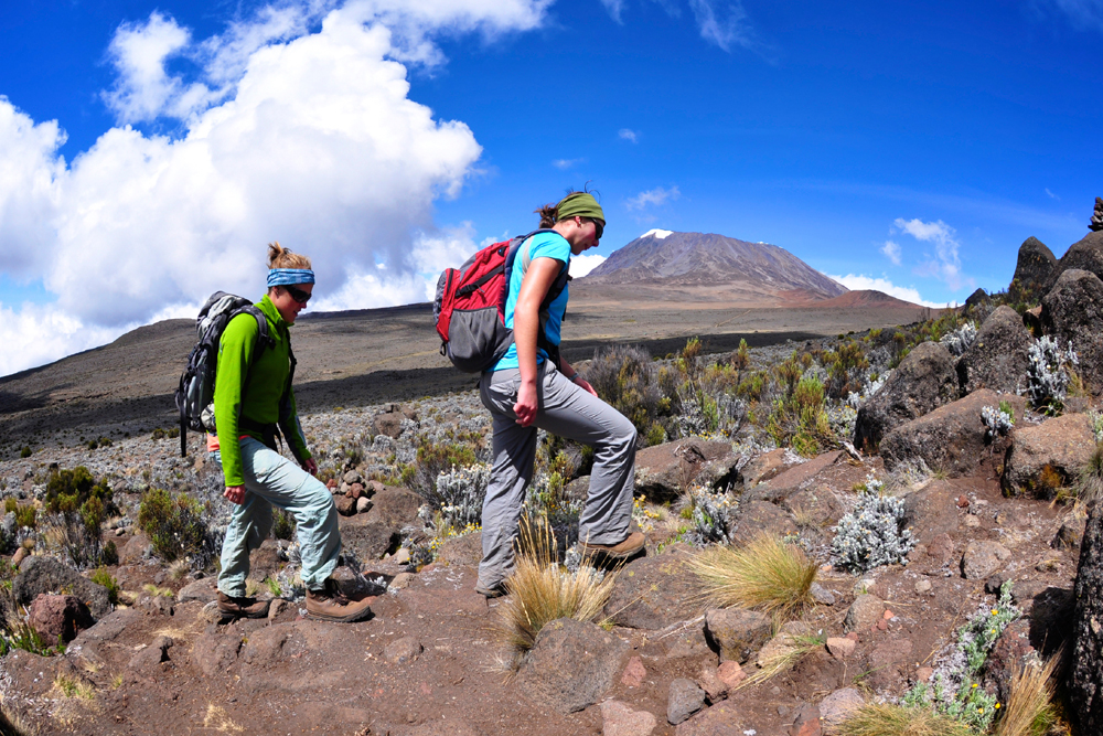 background image for - 5 DAYS MARANGU ROUTE- KILIMANJARO HIKING