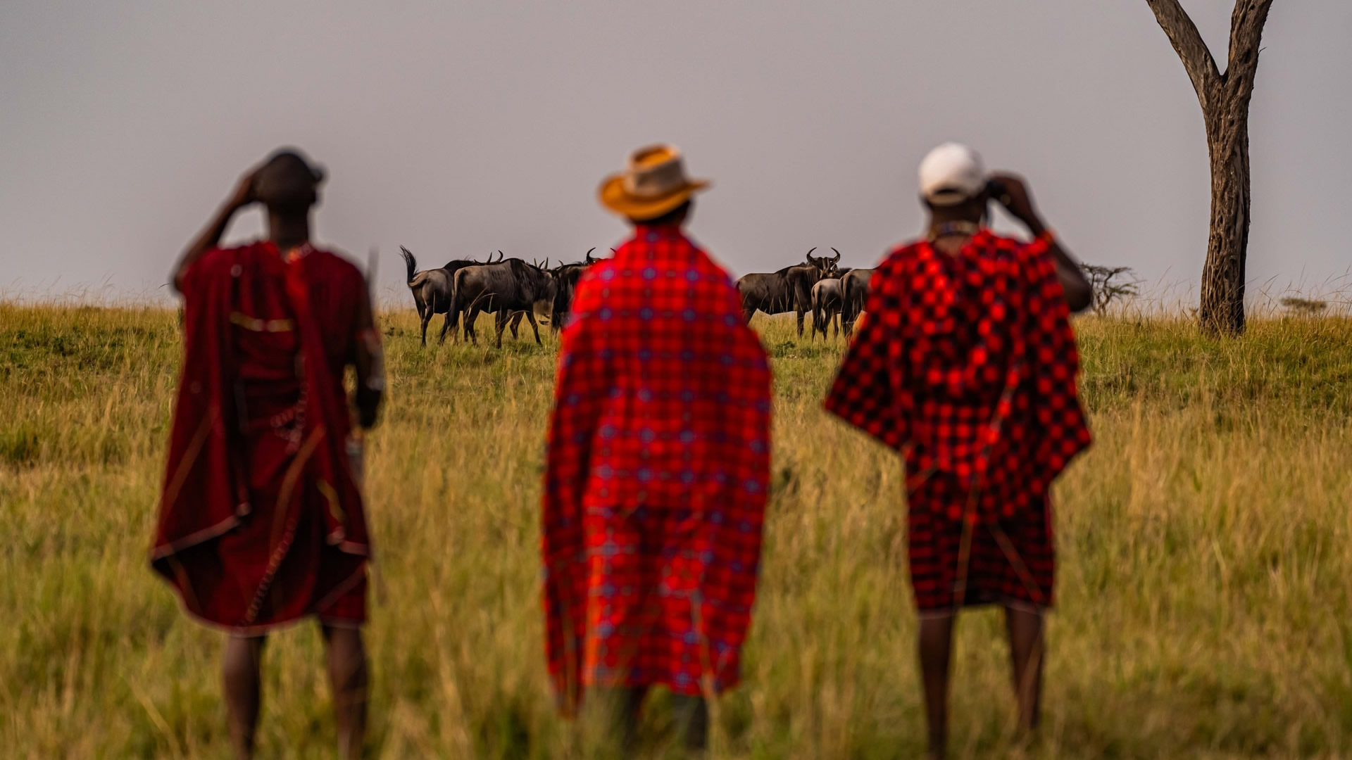 background image for - Majestic Masai Mara: 4-Day Big Five Safari 