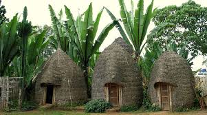 Image number 2 for Visiting Omo Valley