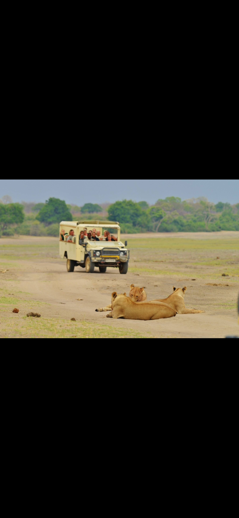 Image number 6 for Vic Falls To Chobe Day Trips 