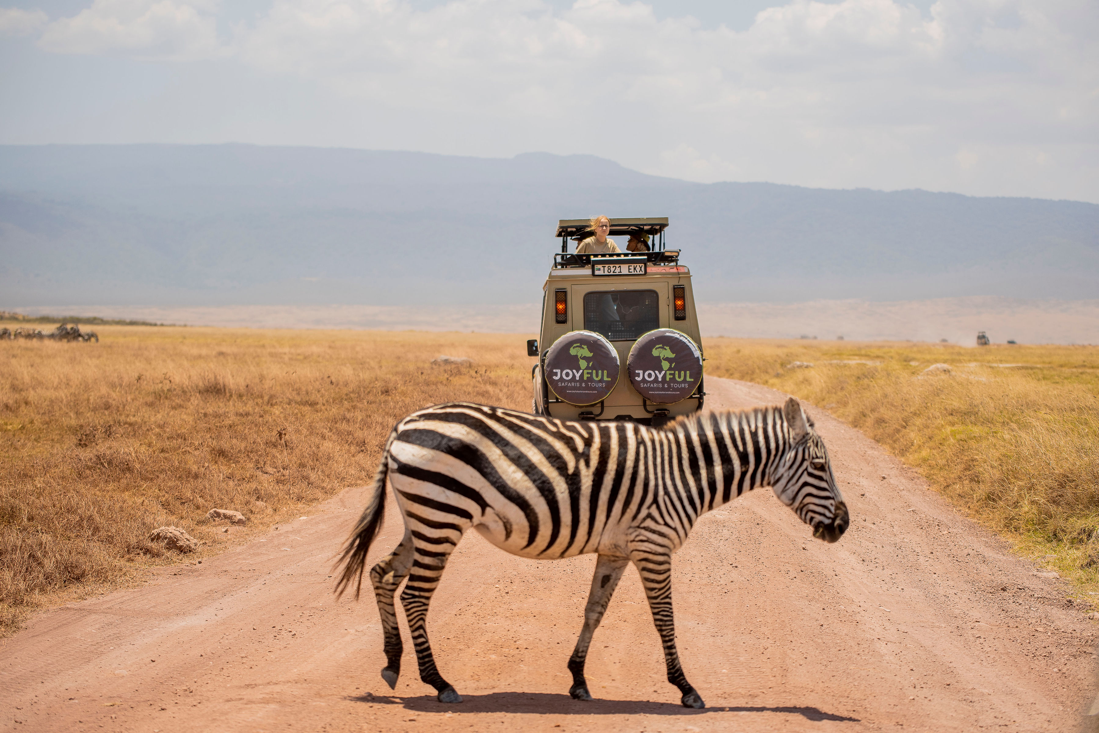 Image number 2 for Safari Serengeti & Ngorongoro Crater