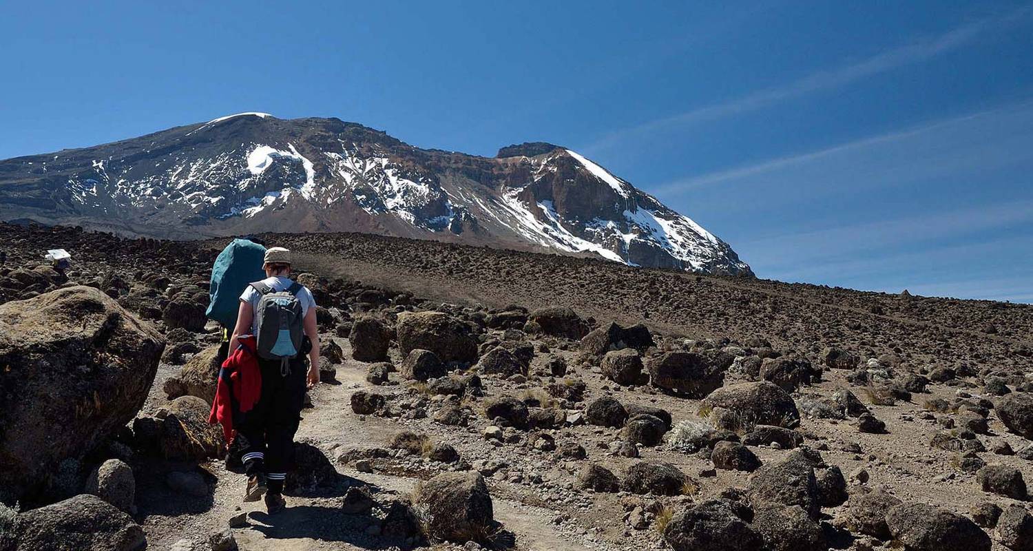 background image for - Climb Mt. Kilimanjaro Via Marangu Route
