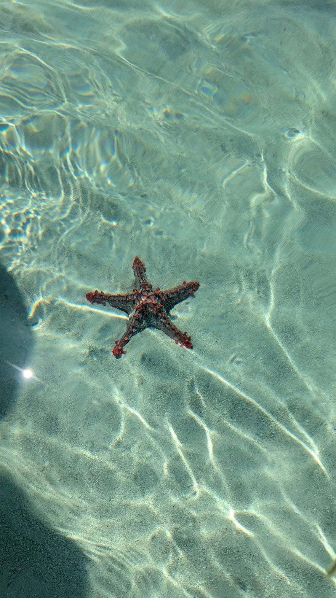 Image number 12 for Luxury Zanzibar Escape