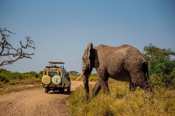 Image number 3 for Serengeti Migration Safari With Kiliclimb Africa Safaris