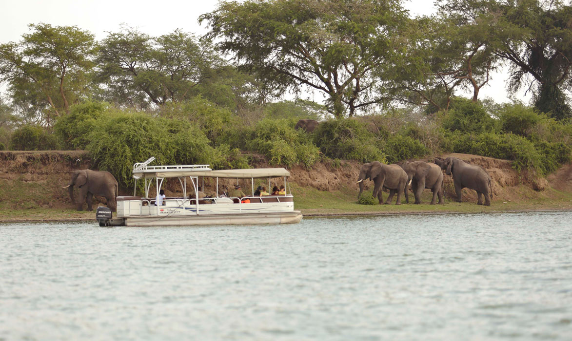 background image for - 4 Days Safari To Murchison Falls N.p