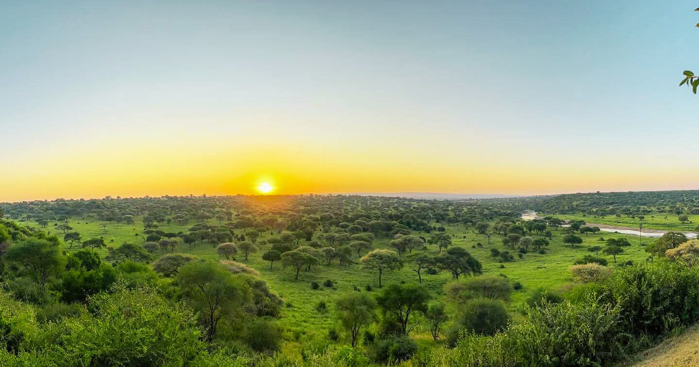 background image for - A Journey Through Wild Eden
