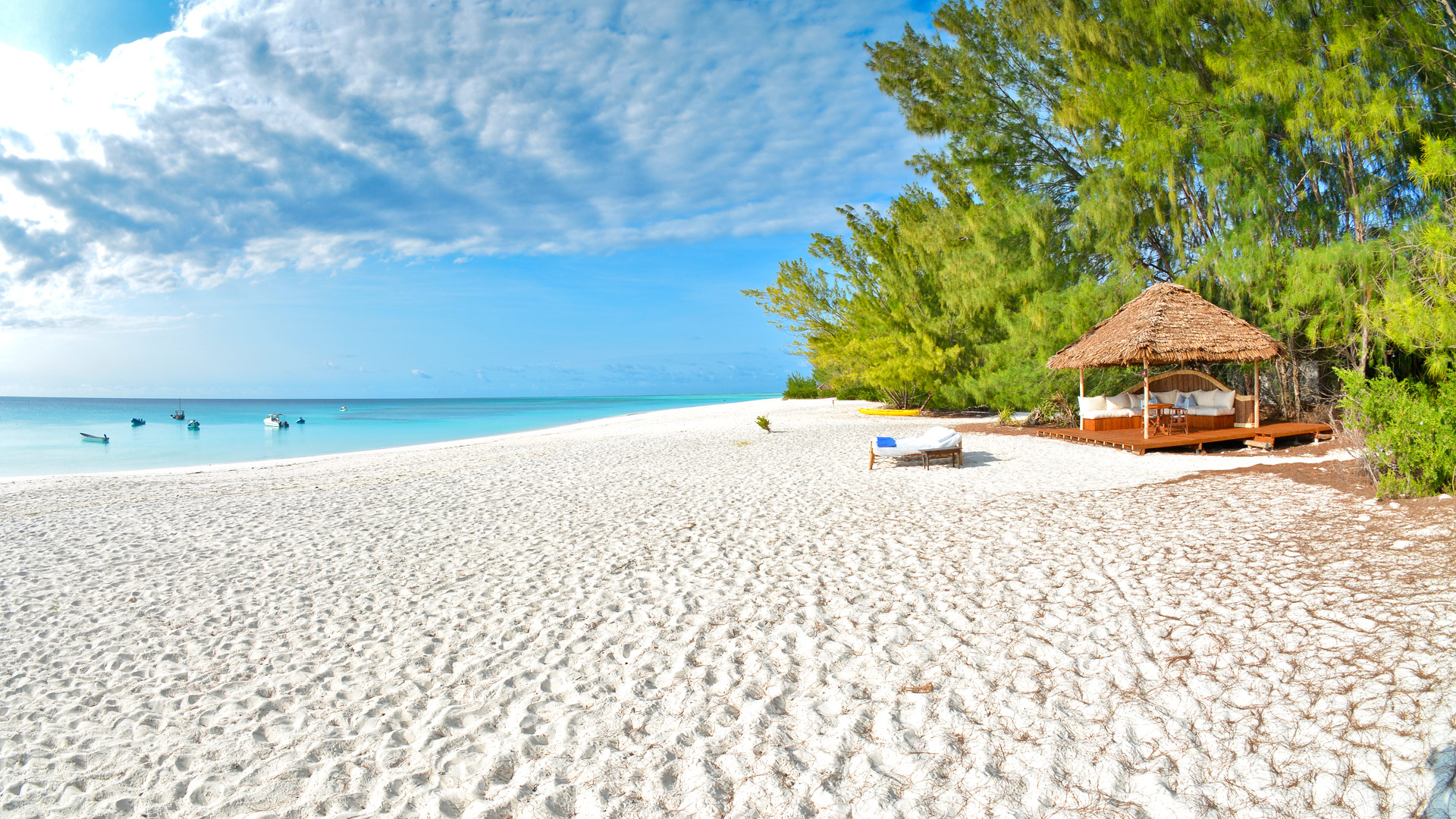 background image for - 3 Days Zanzibar & Pemba Island Tour