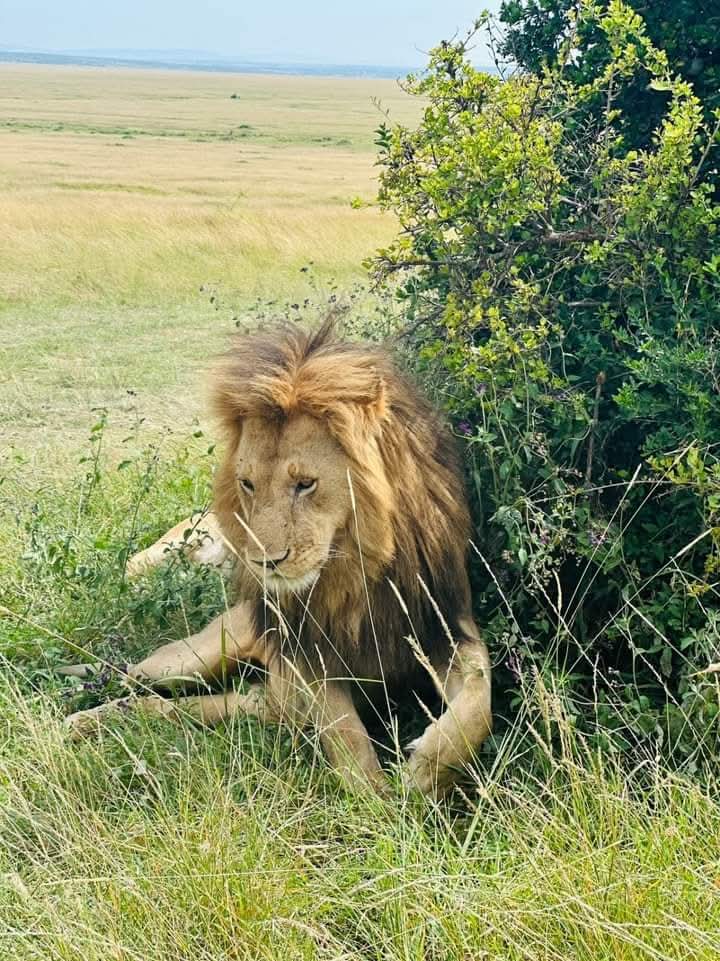 Image number 6 for Tarangire, Manyara And Ngorongoro Safari