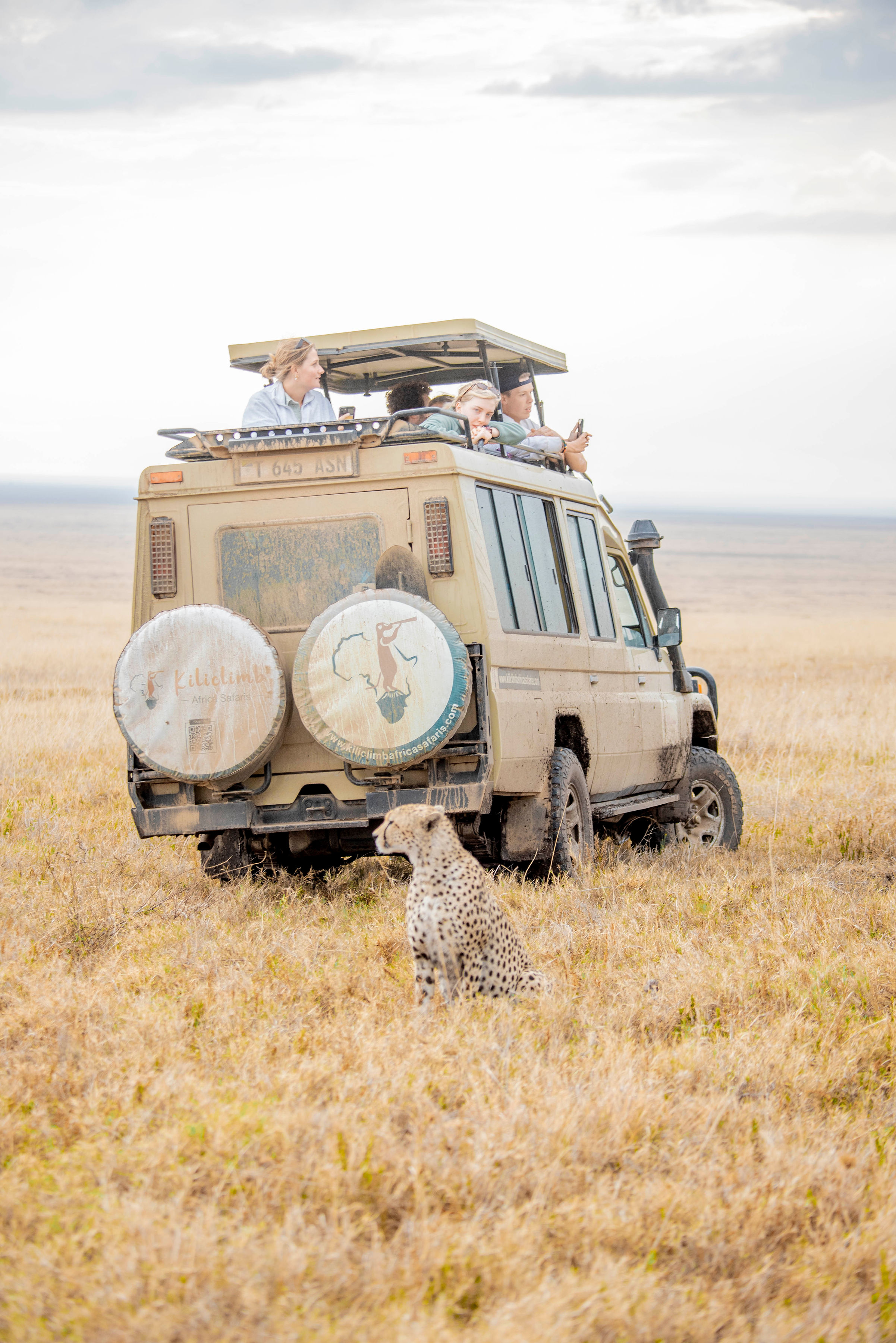 Image number 5 for Group Tour To Tarangire, Serengeti, Ngorongoro